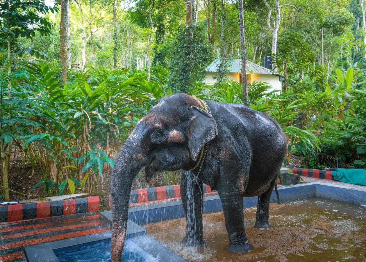 Amritara Shalimar Spice Garden Resort & Spa Thekkady Exteriér fotografie
